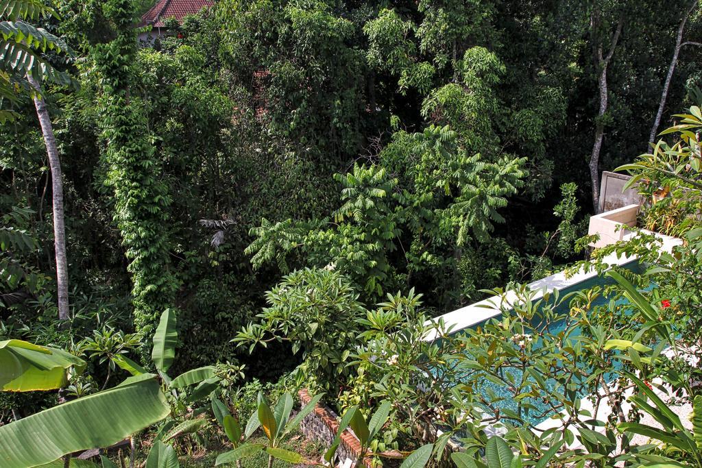 Bismajaya Bungalow Ubud Dış mekan fotoğraf