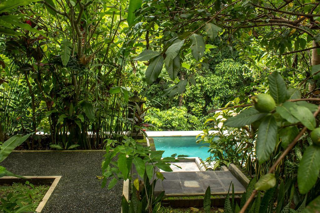 Bismajaya Bungalow Ubud Dış mekan fotoğraf