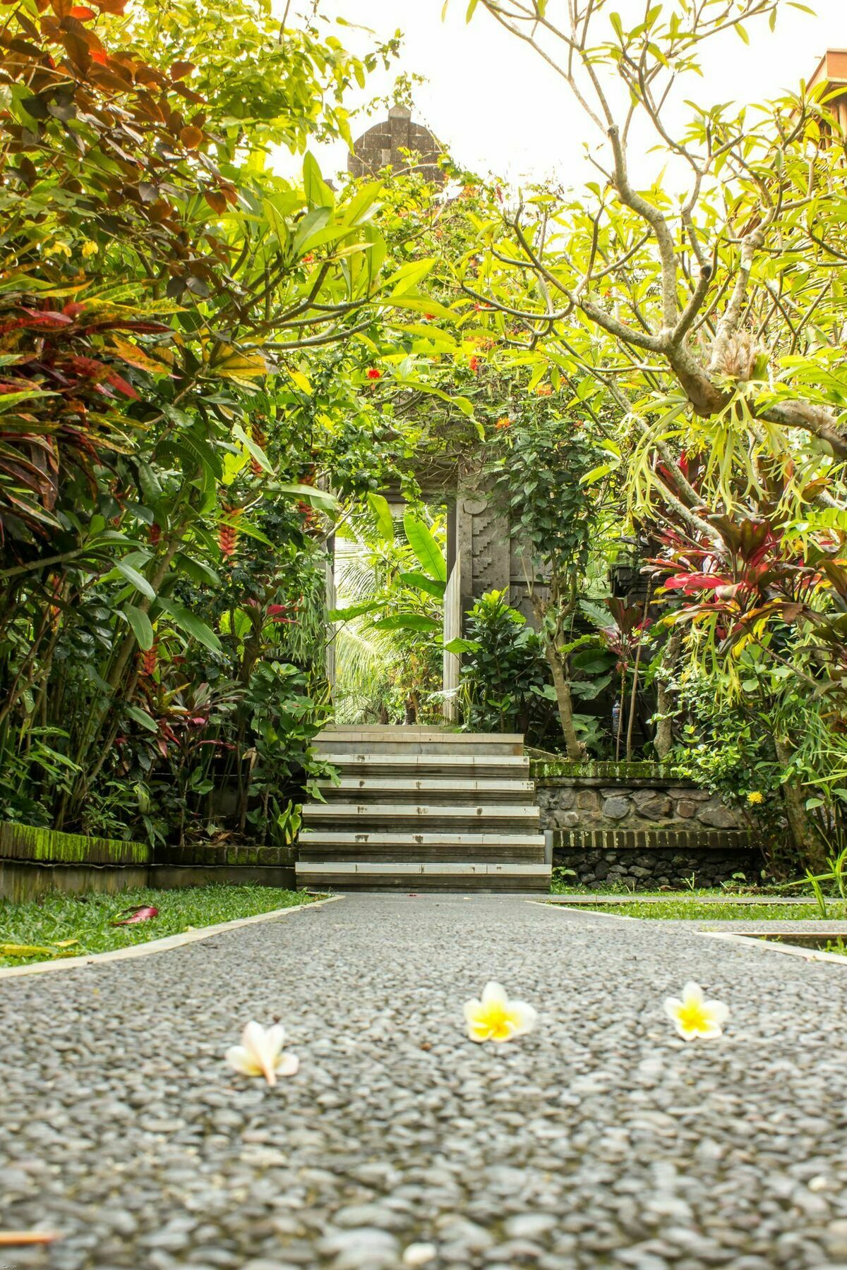 Bismajaya Bungalow Ubud Dış mekan fotoğraf