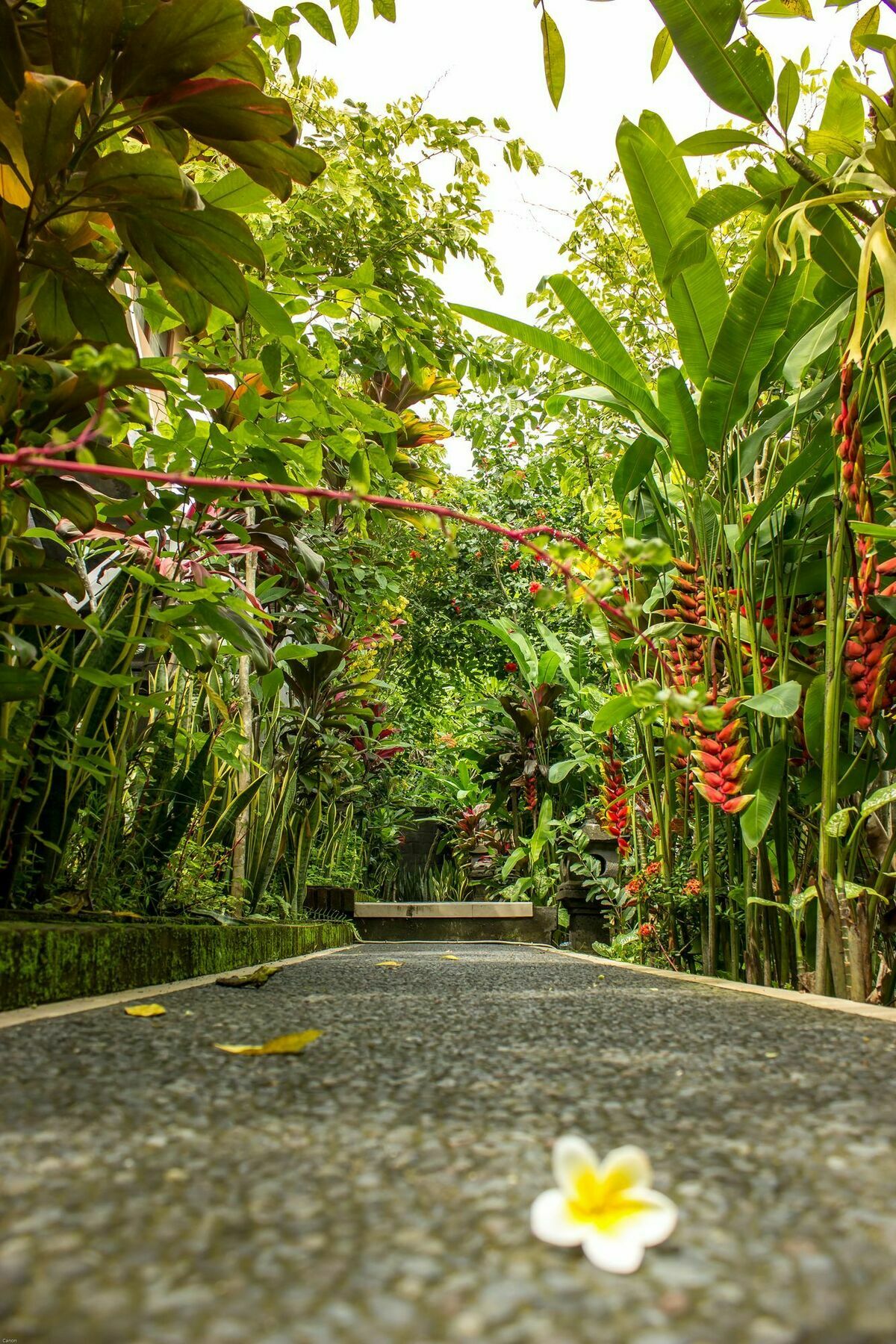Bismajaya Bungalow Ubud Dış mekan fotoğraf