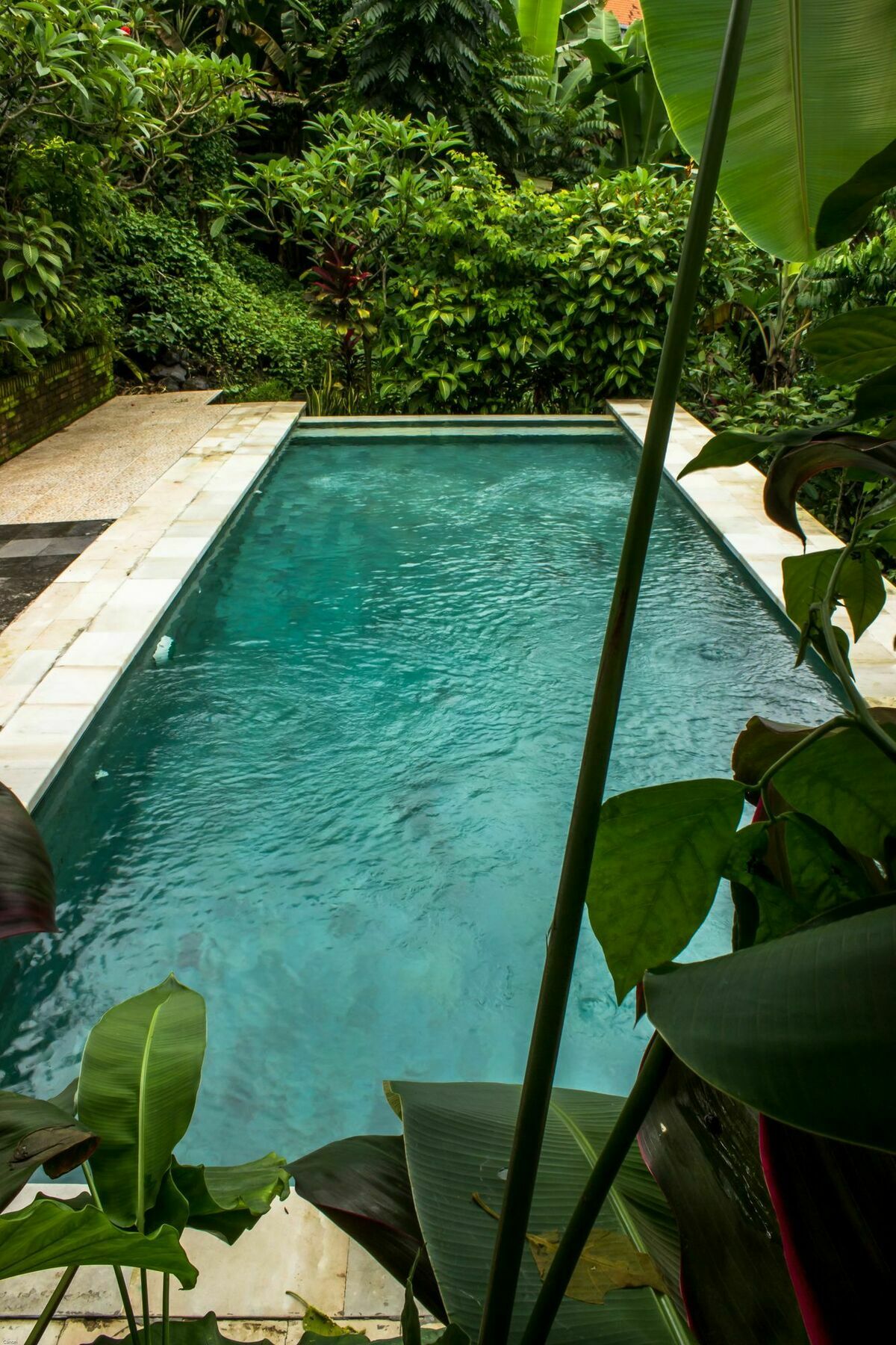 Bismajaya Bungalow Ubud Dış mekan fotoğraf
